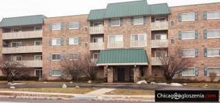 Elk Grove Village do wynajecia mieszkanie