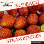 WELCOME TO RICH'S FRESH MARKET