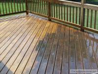 PROFESSIONAL DECK PAINTING AND FENCE STAINING