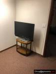 Basement do wynajęcia