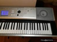 Keyboard Yamaha YPG-535