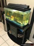 Fish tank for sale.