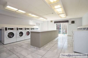 FOR SALE 1499 W Irving Park Road #B122