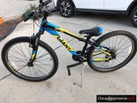 Bike Giant small