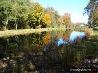 Beautiful 8 acres with a little log cabin