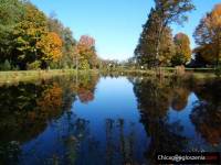 Beautiful 8 acres with a little log cabin