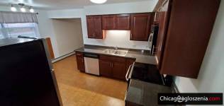 PARTMENT FOR RENT IN ELMWOOD PARK, IL