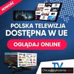 Polska telewizja internetowa