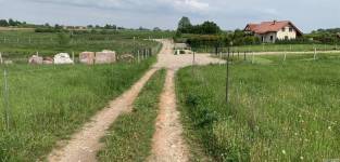 Działka na Mazurach nad jeziorem Sunowo z linią brzegową. Chrzanowo kolo Elku
