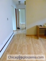 Beautiful/freshly painted 2 Beds, 1 Bath apartment, Chicago