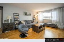 1 sypialniowe mieszkanie w Des Plaines ( Dempster/Potter)