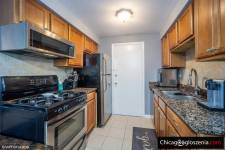 1 sypialniowe mieszkanie w Des Plaines ( Dempster/Potter)