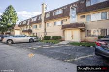 1 sypialniowe mieszkanie w Des Plaines ( Dempster/Potter)